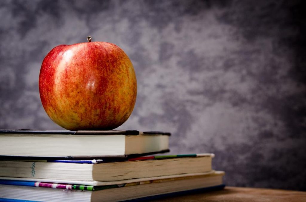 Why any startup needs a teacher