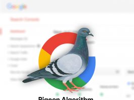 pigeon-algorithm