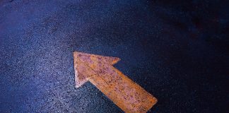 Trend of Startups in 2025: Emerging Opportunities for Entrepreneurs Trend of Startups