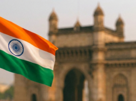 India startup investors