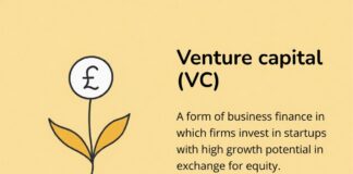 Venture Capital (VC) Explained: How VCs Invest in Startups