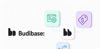 Budibase: What It Is, Features, Pricing, and Best Alternatives Budibase