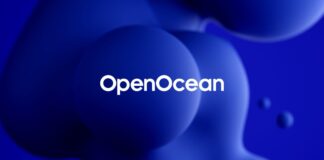 OpenOcean Workflow Explained: How Multi-Chain Swaps Work