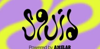 Squid Router Explained: Cross-Chain Routing Made Simple