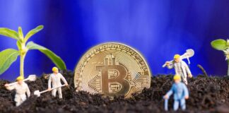 Best Tools for Yield Farming