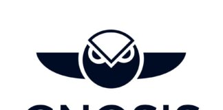 How to Use Gnosis Chain for Low-Fee Transactions