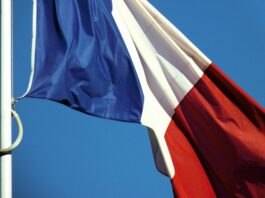 Best Startup Investors in France: Top Venture Capital, Angel, AI, and Crypto Investors