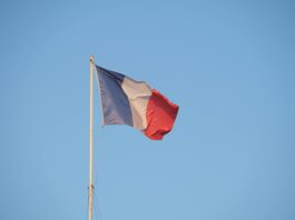 Best VC Firms for Startups in France: Top Venture Capital Firms for Founders