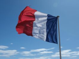 Best AI Investors for Startups in France: Top Investors Backing AI Innovation