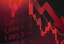 Why Most Founders Take the Wrong Risks Wrong Risks