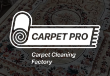 Why Professional Carpet Cleaning Matters More Than You Think
