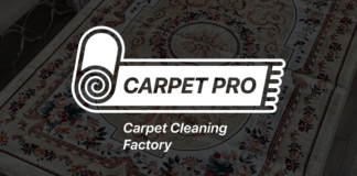 Why Professional Carpet Cleaning Matters More Than You Think