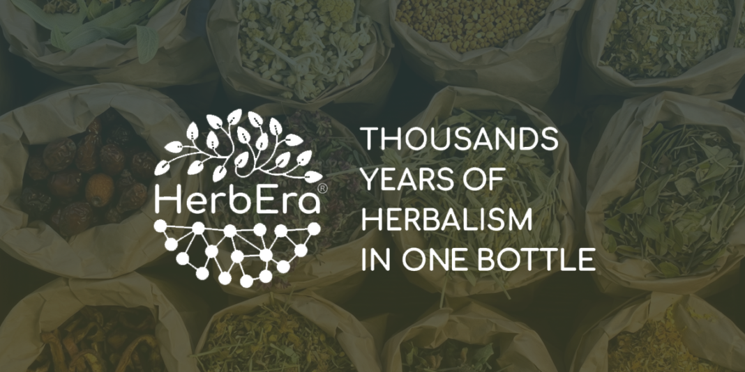 herbera